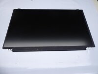 InnoLux N156HGA-EAB LED Display 15,6  matt 30Pol.