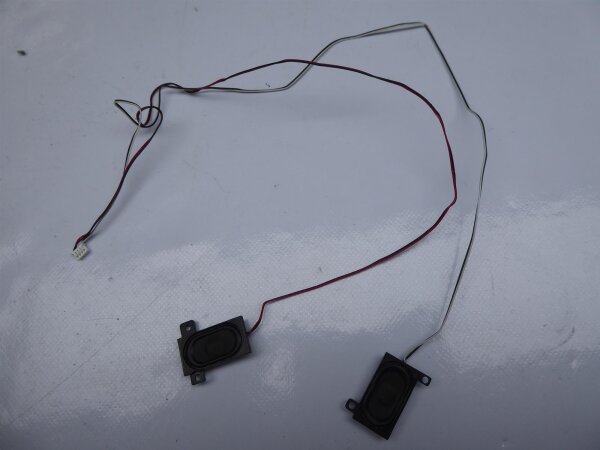 MSI GX623 Lautsprecher Soundspeaker Rechts Links #4415