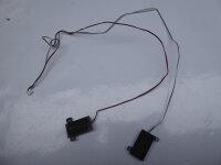 MSI GX623 Lautsprecher Soundspeaker Rechts Links #4415