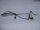 Lenovo IdeaPad Z565 Videokabel Displaykabel DC02000ZI10  #4452