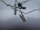 Medion Akoya P6658 WLAN WIFI Antenne Antennensatz #4453