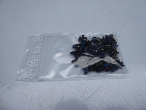 Lenovo IdeaPad Z710 Schraubensatz Screw Set #4466
