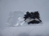 Lenovo IdeaPad Z710 Schraubensatz Screw Set #4466