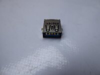 Medion Akoya P6647 USB Buchse vom Mainboard #4481